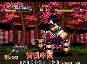 武藏严流记
