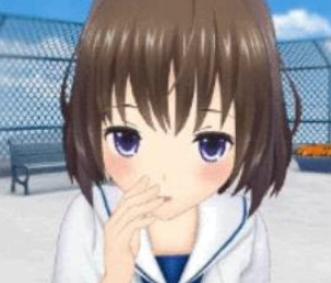 妃十三学园VR中文破解版