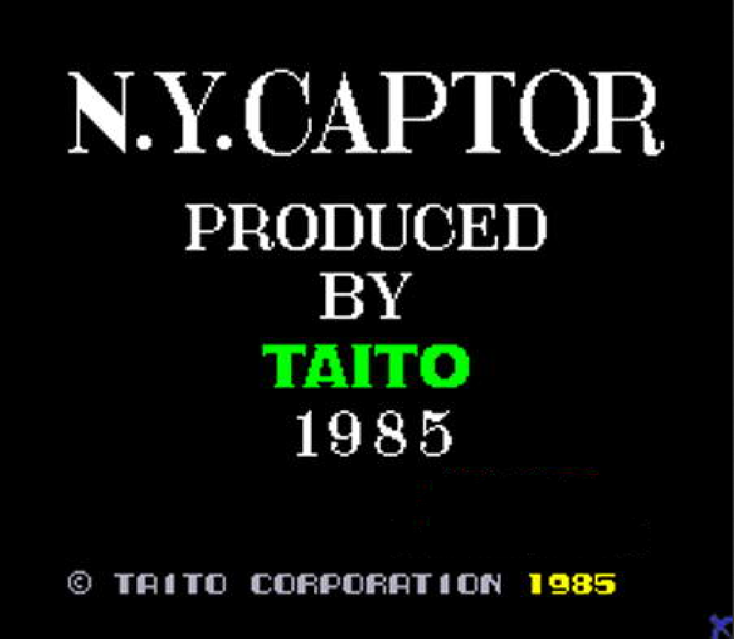 纽约绑匪 N.Y. Captor
