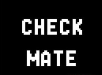 贪食蛇Checkmate