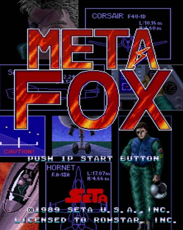 沙漠之狐Meta Fox