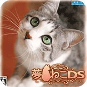 梦猫DS