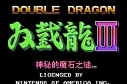 双截龙3出招简化版