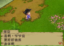 龙珠DS中文HACK修改版