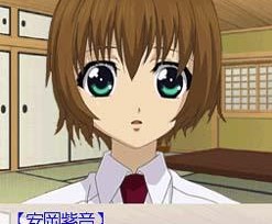 紫音之王DS安卓版