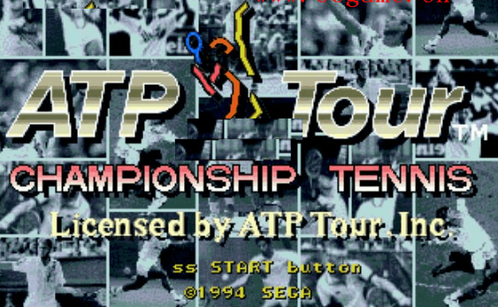 ATP冠军网球赛