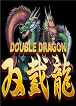 双截龙17人版