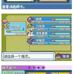 口袋妖怪釉色三周目通关存档