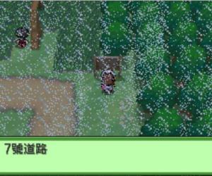 口袋妖怪黑白神兽存档中文版