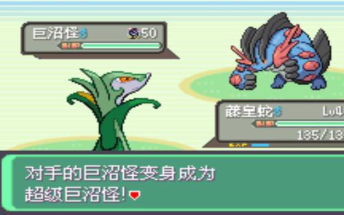 口袋妖怪究极绿宝石