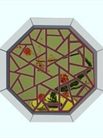 树盆景Tree Bonsai正式版完整存档版