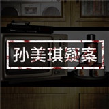 孙美琪疑案官方版