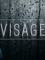 Visage中文傻瓜包