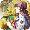 车轮之国向日葵的少女剧情版