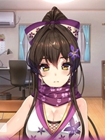 NinNinDays未加密直装版
