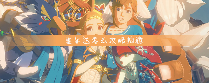 塞尔达攻略帕雅技巧分享