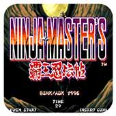 霸王忍法帖动作加快版apk