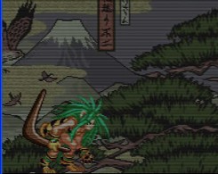 侍魂2中文版apk