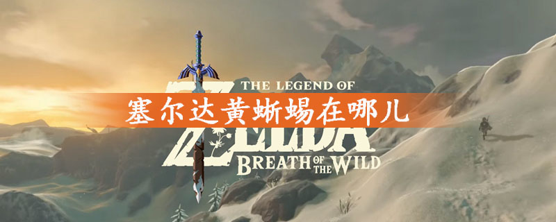 塞尔达黄蜥蜴位置介绍
