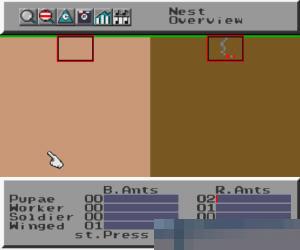 模拟蚂蚁 (Sim Ant) 美版 (49046)手机版