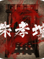 孙美琪疑案朱孝坤官方版