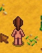 星露谷物语 清凉体女农民MOD