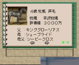 赛马大亨2中文版