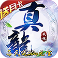 真龙战魂手机版