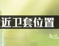 塞尔达传说近卫套位置