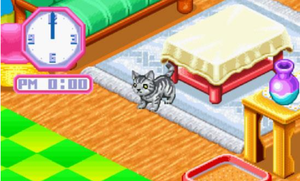 动物伴侣系列三可爱小猫安卓版