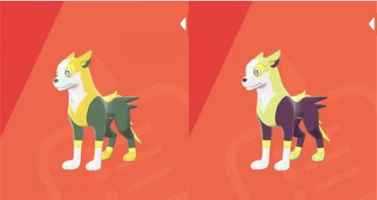 口袋妖怪:宝可梦逐电犬招式图文详解