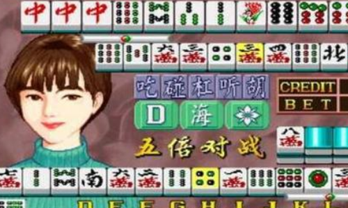 龙虎争霸2电脑版