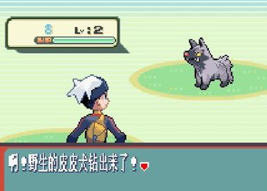口袋妖怪红宝石386海皇牙apk