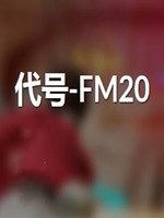 代号-FM20steam破解版
