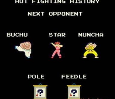 功夫小子经典汉化版apk
