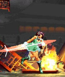 乱舞格斗2000全角色apk
