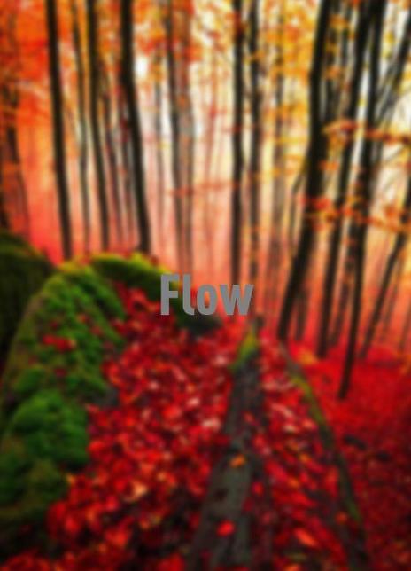 Flow剧情版