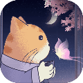 晚遇未加密直装版