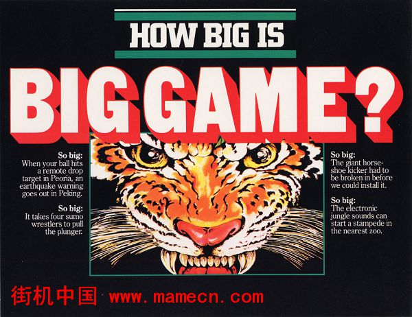 ϷBig GameֻϷ