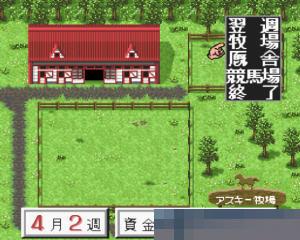德贝育马3-1.0中文绿色版