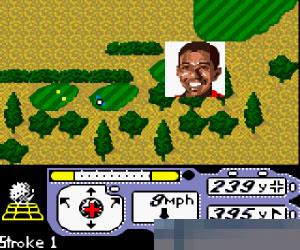 0375 - 老虎伍兹PGA巡回赛 (Tiger Woods PGA Tour 2000) 美版 手机版