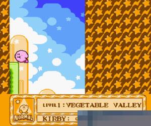 星之卡比美版/星之泉精灵物语美版 (KIRBYADV) 美版 手机版