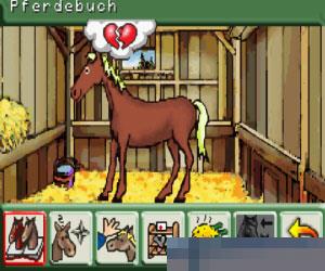游戏2合1马场精英1阳光马厩和马场生活2 (2 Games in 1Pferd PonyMein Pferdehof Pferd PonyLass Uns Reiten 2) 德版 手机版