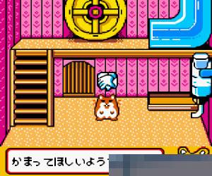 0853 - 黄金鼠俱乐部3 (Hamster Paradise 3) 日版 手机版