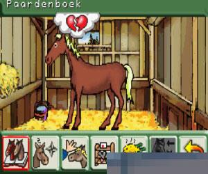 马场精英1阳光马厩 (Paard PonyMijn Manege) 多国语言 手机版