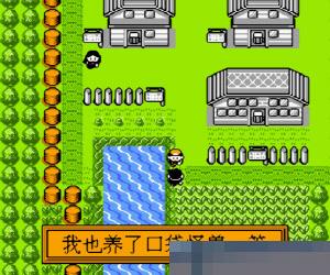 宠物小精灵 (红版) 简体中文 手机版