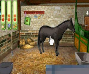 马场生活2 (Horse  Pony Let's Ride 2) 多国语言 手机版