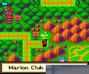 0238 - 玛丽欧高尔夫 (Mario Golf) 美版 手机版