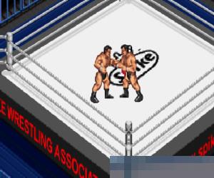 0015-火炎职业摔跤A (Fire Pro Wrestling A) 日版 手机版