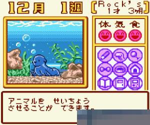 0203 - 动物饲养 (Animal Breeder 3) 日版 手机版